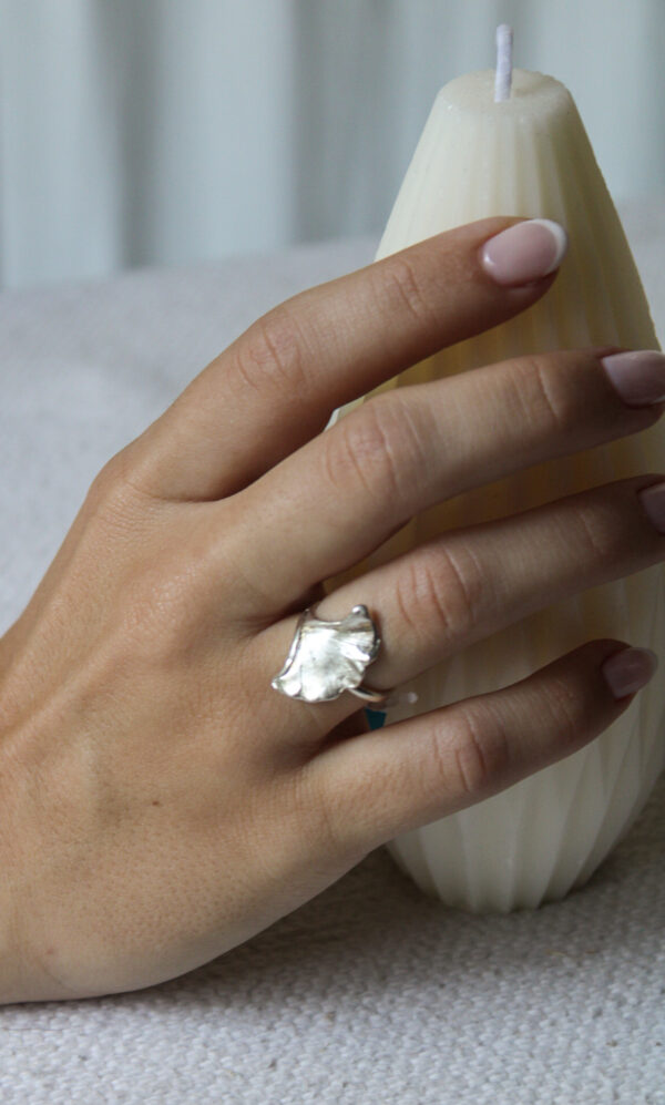 A 223 2 K ANILLO GINKGO BILOBA CHICO