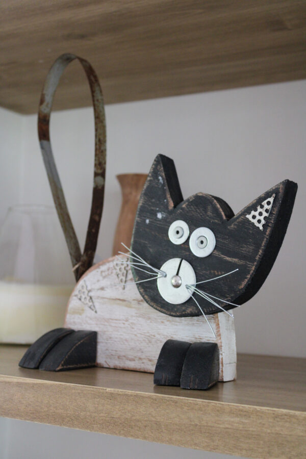 IMG_3038 GATO PARADO