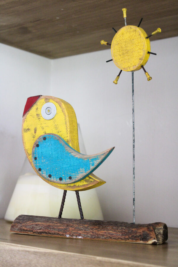 IMG_3075 PAJARO