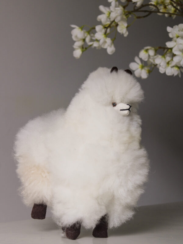 LLAMA GRANDE