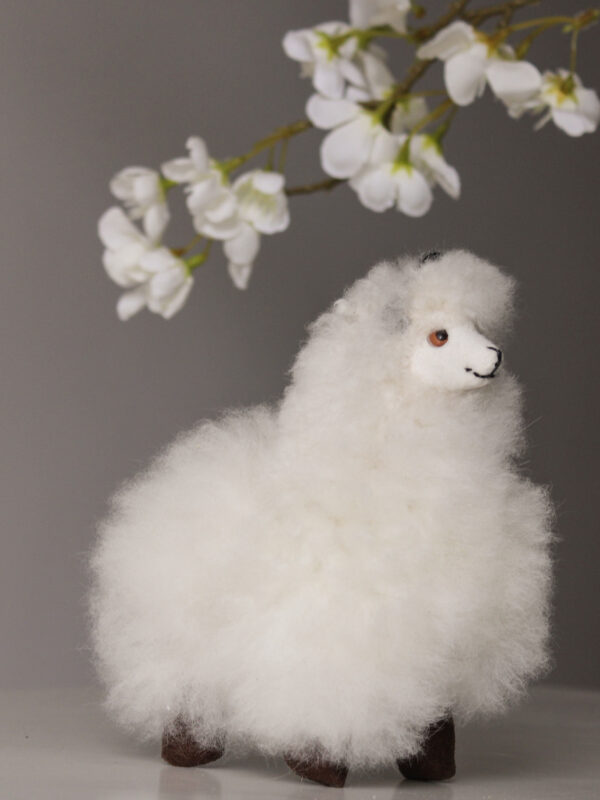 LLAMA CHICA