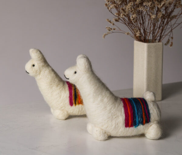 IMG_3831 LLAMA