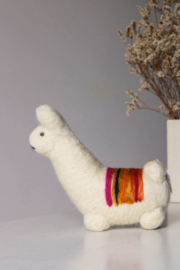 IMG_3836 LLAMA
