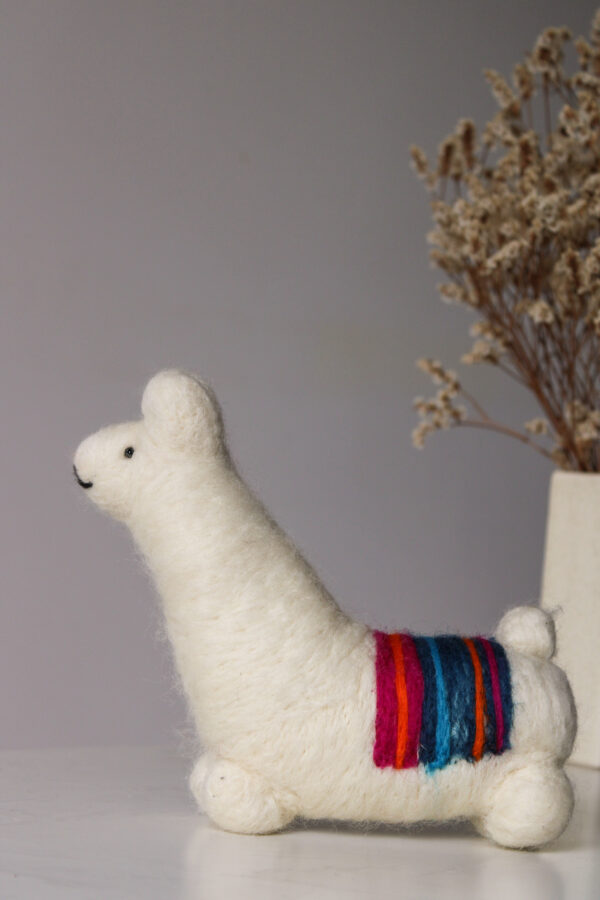 IMG_3838 LLAMA