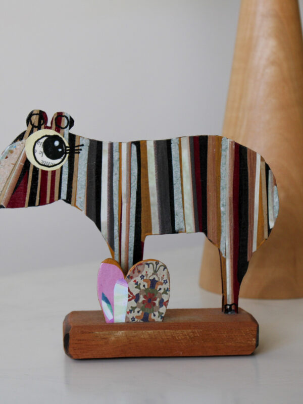 TAPIR
