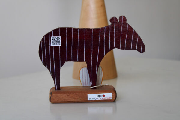 IMG_7429 TAPIR