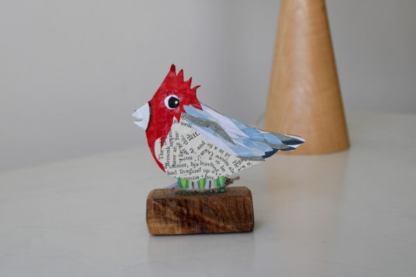 IMG_7435 CARDENAL ROJO
