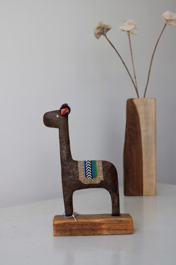 IMG_7463 LLAMA
