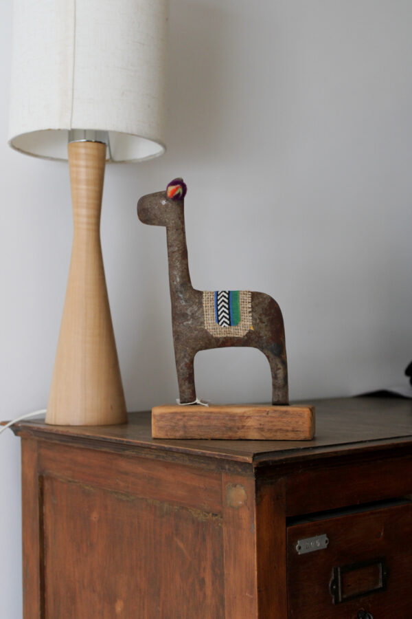 IMG_7477 LLAMA