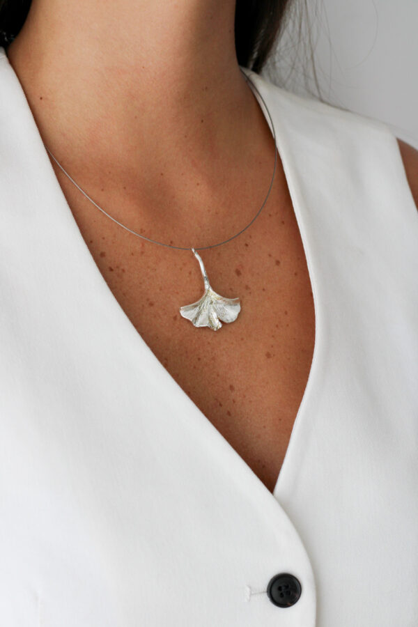 IMG_7498 COLGANTE GINKGO BILOBA MEDIANO