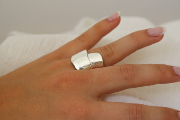 IMG_7574 ANILLO EN-SO