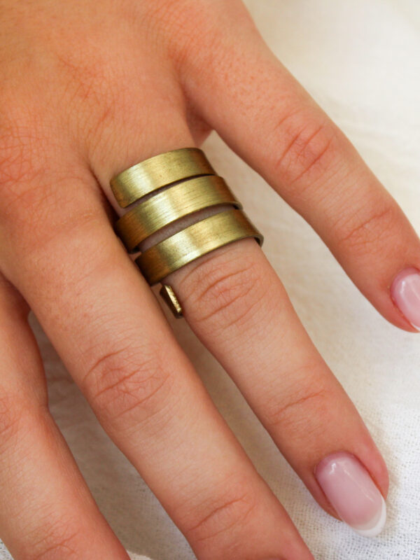 ANILLO PAU