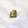 ANILLO PAU