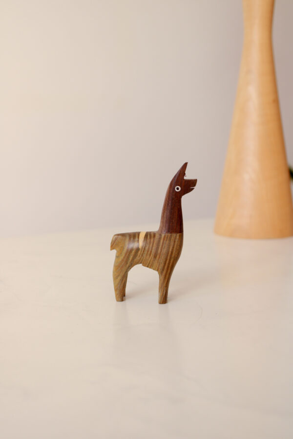 IMG_8340 LLAMA