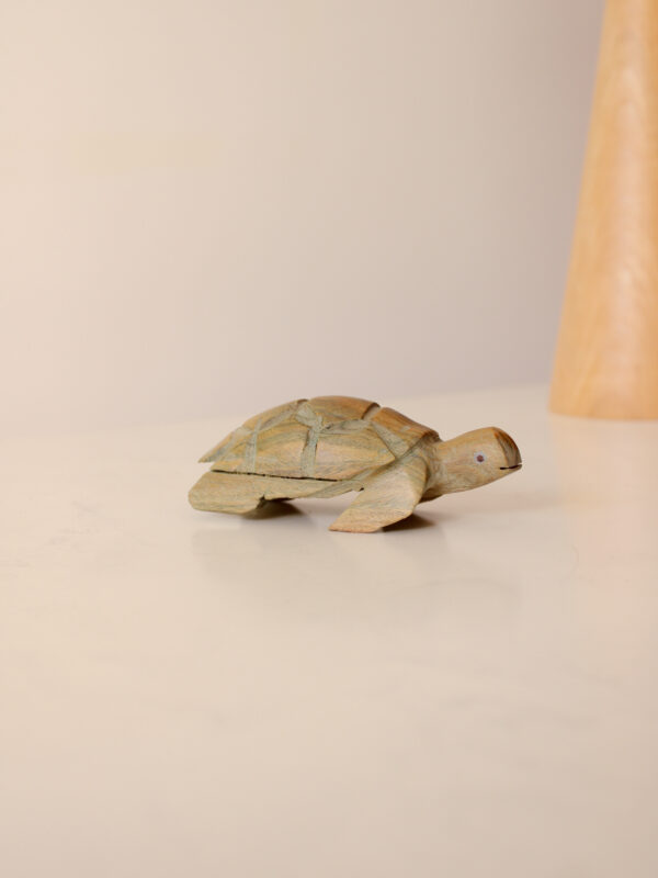 TORTUGA