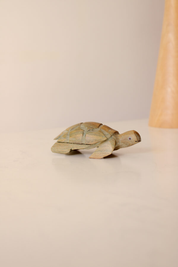 IMG_8343 TORTUGA