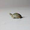 IMG_9574 TORTUGA