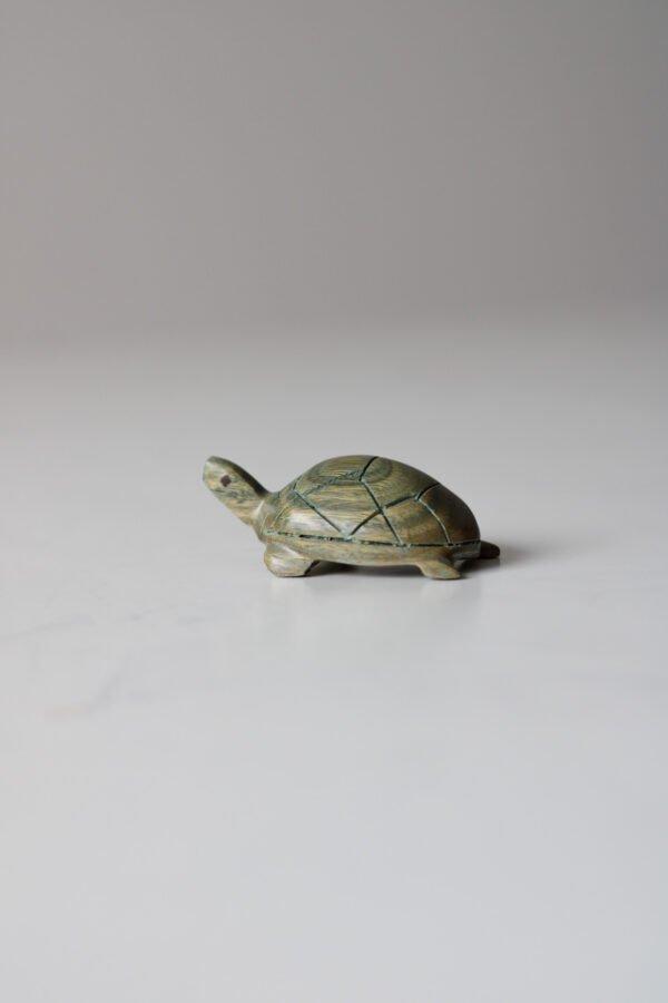 IMG_9574 TORTUGA