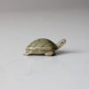 IMG_9575 TORTUGA