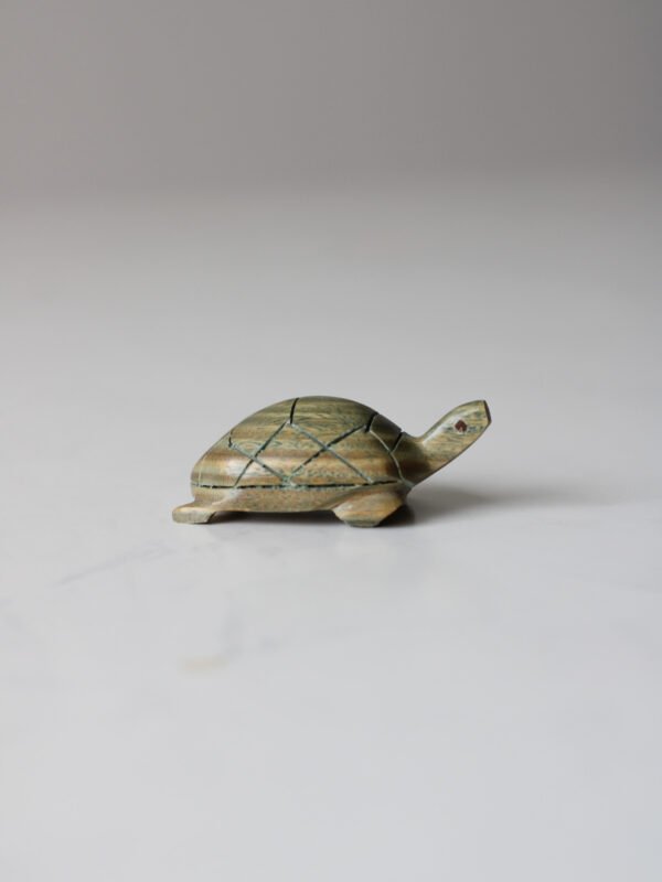 IMG_9575 TORTUGA