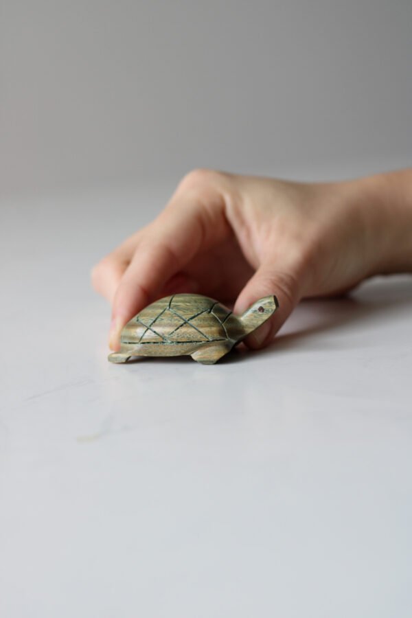 IMG_9576 TORTUGA