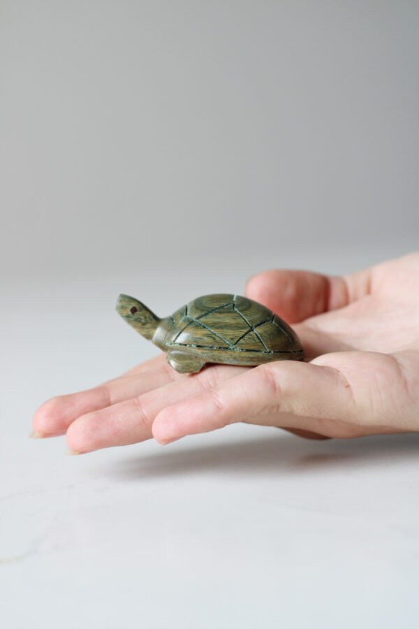 IMG_9577 TORTUGA