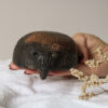 CAZUELA ARMADILLO CHICA