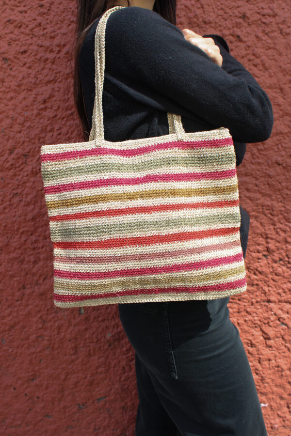 IMG_0281 CARTERA CHAGUAR