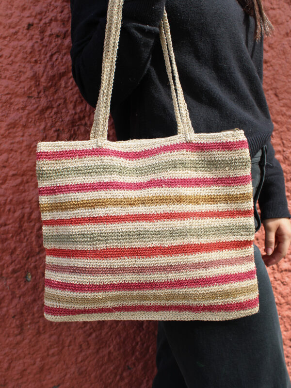 CARTERA CHAGUAR
