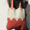 CARTERA CHAGUAR