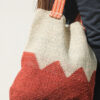 CARTERA CHAGUAR