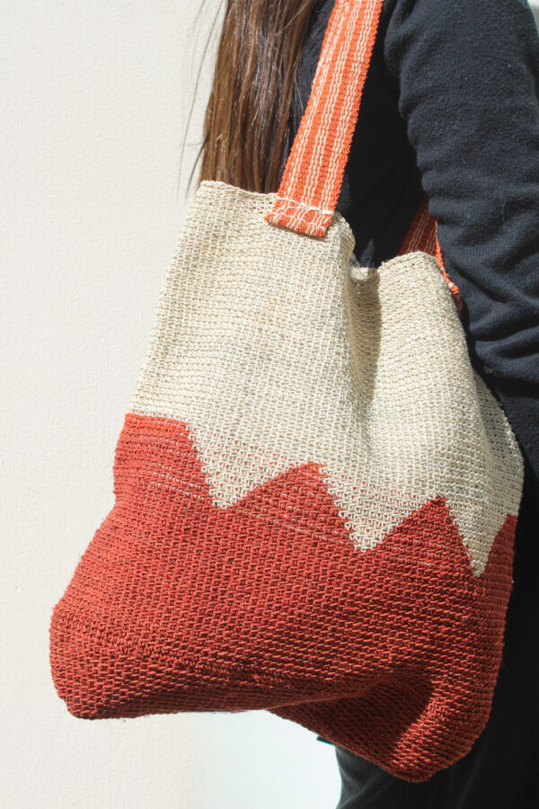 CARTERA CHAGUAR