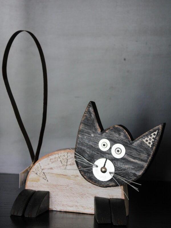 IMG_3035 (1) GATO ACOSTADO