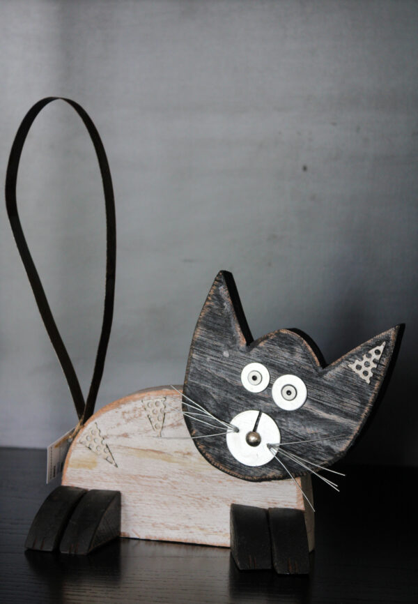 IMG_3035 (1) GATO ACOSTADO