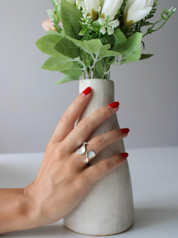 ANILLO SINUOSO ABIERTO