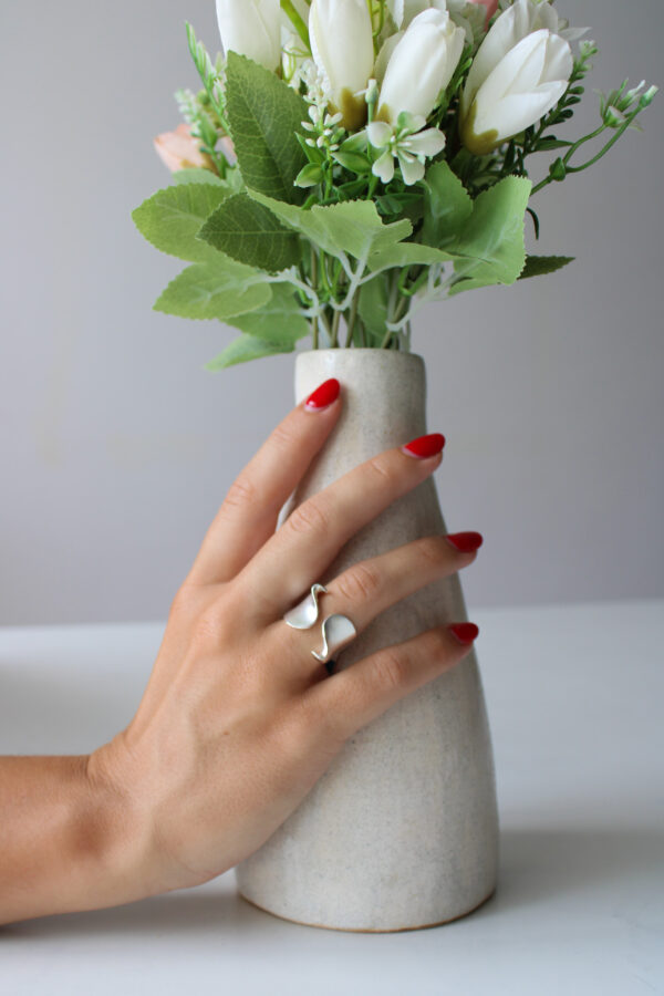 ANILLO SINUOSO ABIERTO