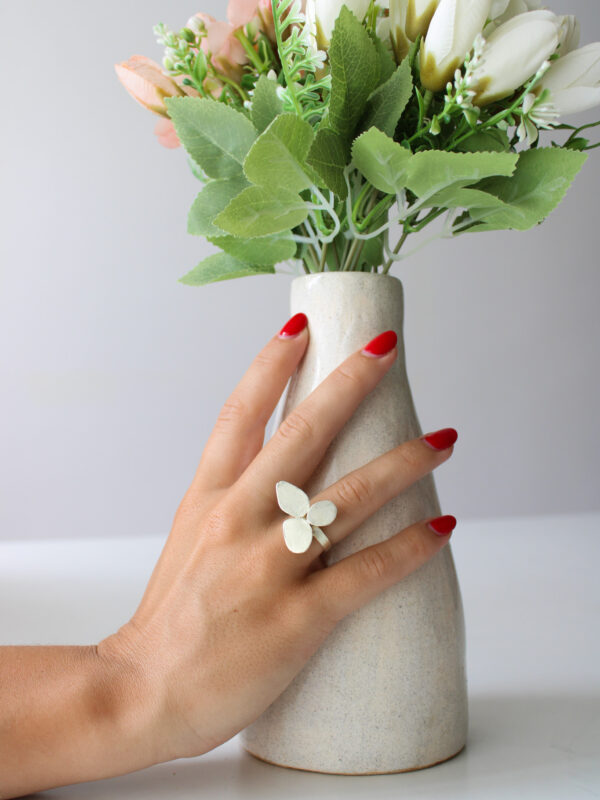 ANILLO CONSTELACIONES