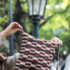 CARTERA CHAGUAR