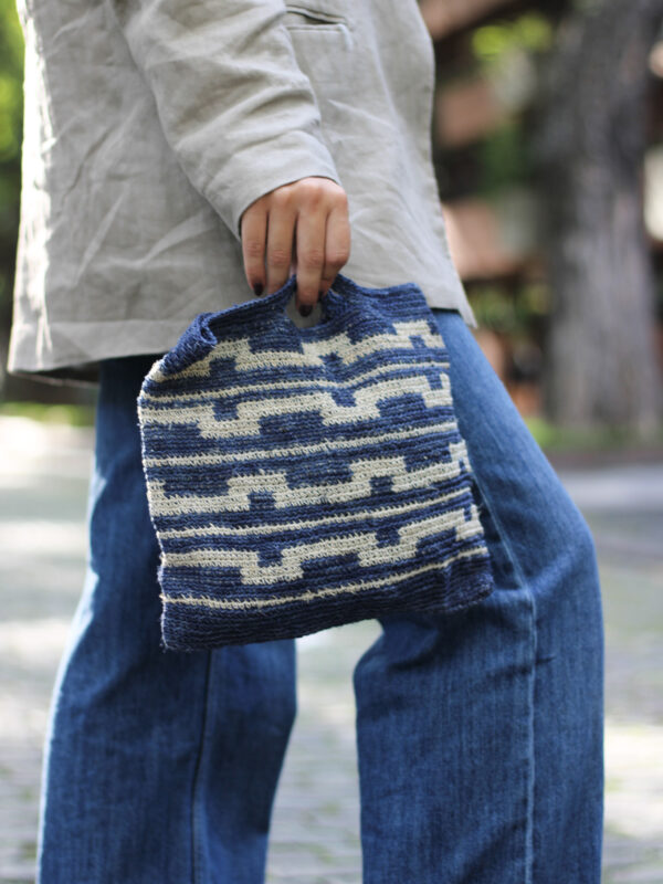 CARTERA CHAGUAR