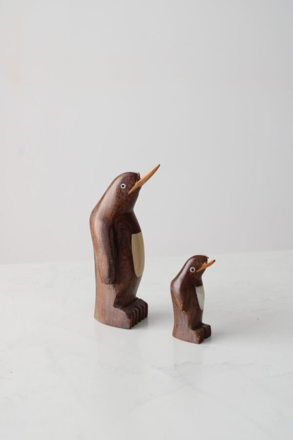 IMG_0208 PINGÜINOS