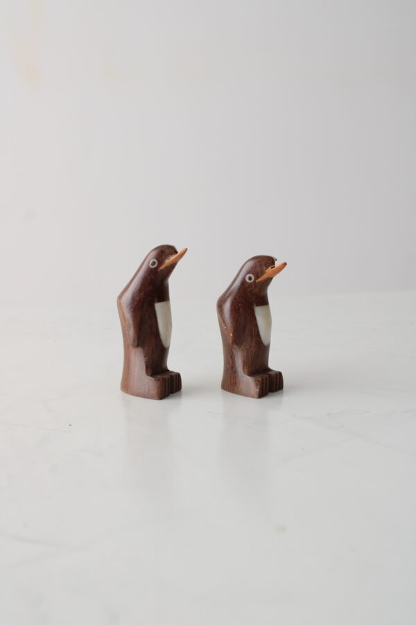 IMG_0209 PINGÜINOS