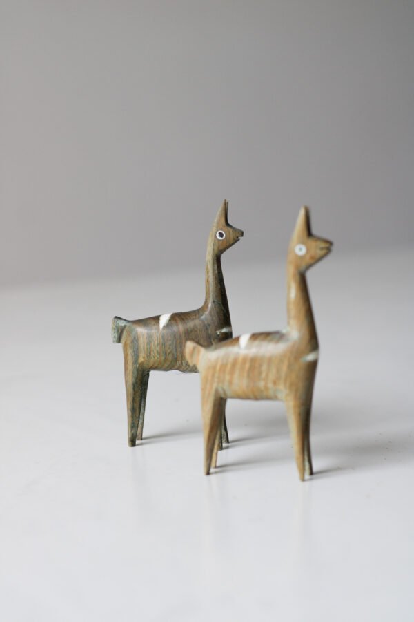 IMG_9533 VICUÑA