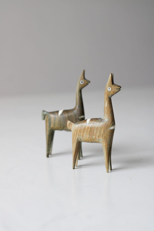 IMG_9534 VICUÑA