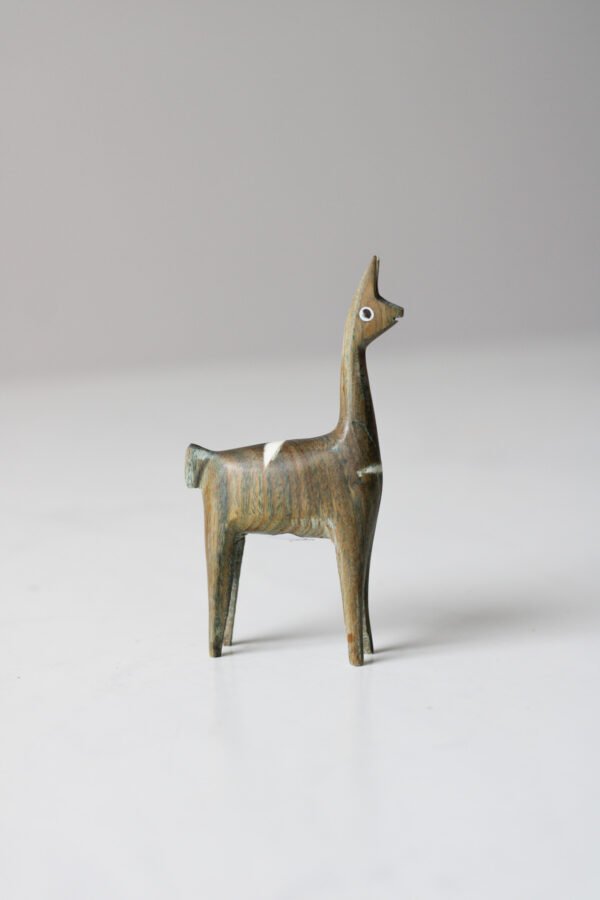 IMG_9537 VICUÑA